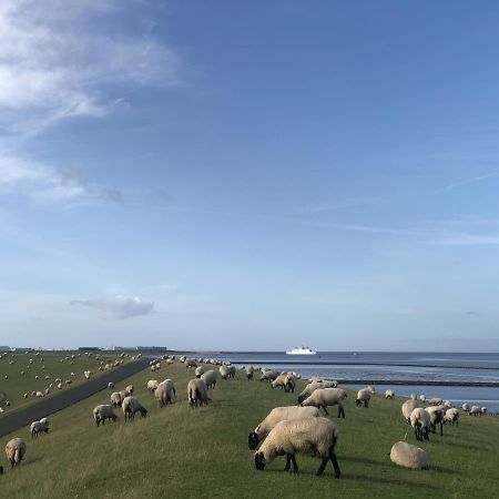 Wind und Meer - traumhaft an der Nordsee Norddeich  Exterior foto