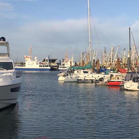 Wind und Meer - traumhaft an der Nordsee Norddeich  Exterior foto
